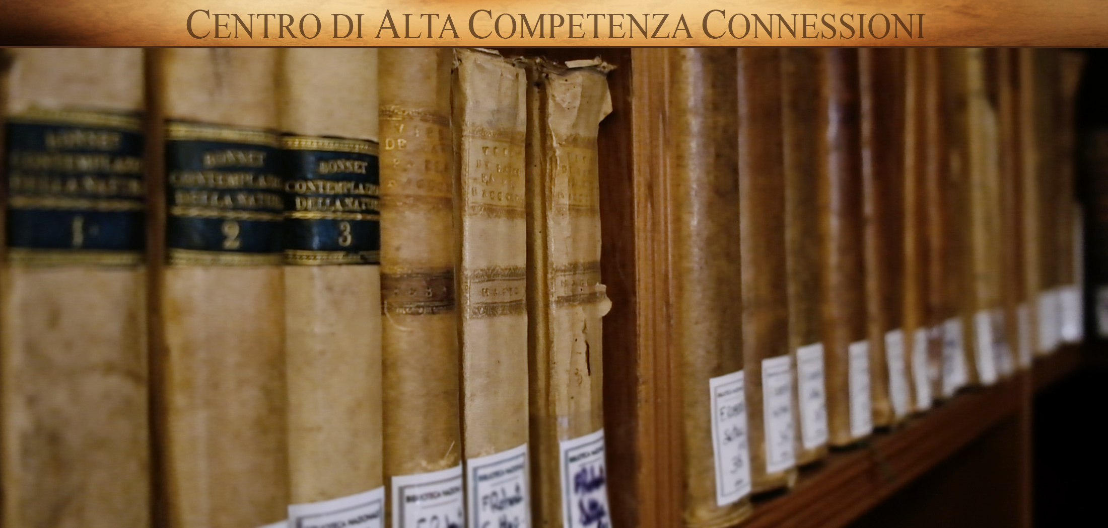 Centro di Alta Competenza CONNESSIONI - Cosenza - Biblioteca Nazionale - Ministero della Cultura Centro di Alta Competenza CONNESSIONI - Cosenza - Biblioteca Nazionale - Ministero della Cultura